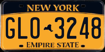 NY license plate GLO3248