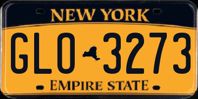 NY license plate GLO3273