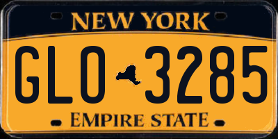 NY license plate GLO3285
