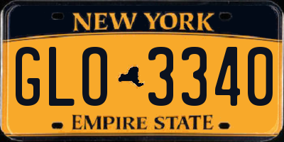 NY license plate GLO3340