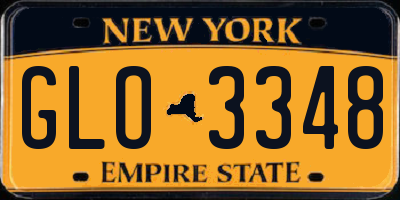 NY license plate GLO3348