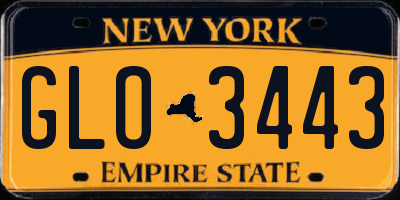 NY license plate GLO3443