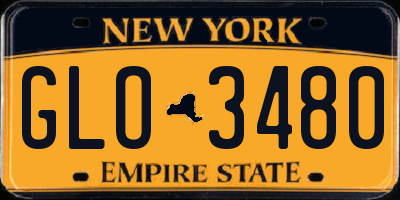 NY license plate GLO3480