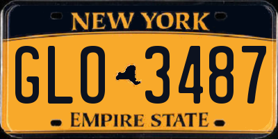 NY license plate GLO3487