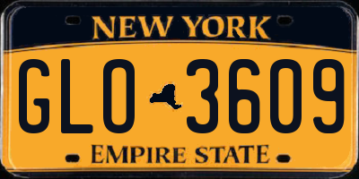 NY license plate GLO3609