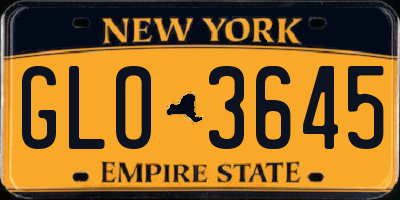 NY license plate GLO3645