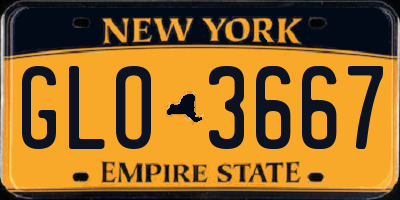 NY license plate GLO3667