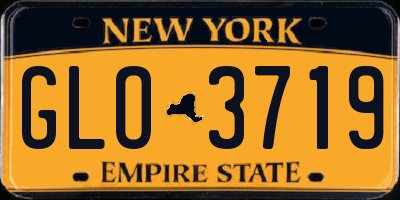 NY license plate GLO3719