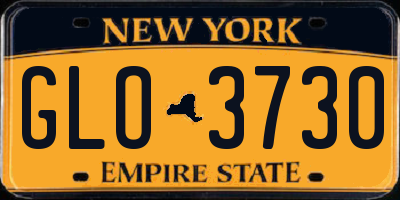 NY license plate GLO3730