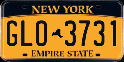 NY license plate GLO3731