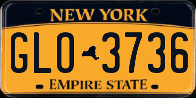 NY license plate GLO3736