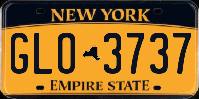 NY license plate GLO3737