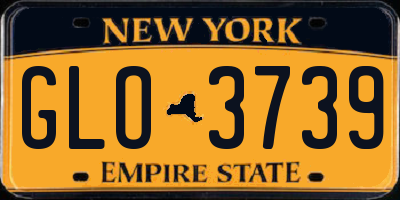 NY license plate GLO3739
