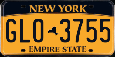 NY license plate GLO3755