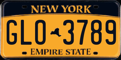 NY license plate GLO3789