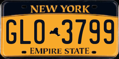 NY license plate GLO3799