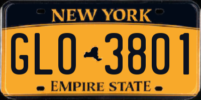 NY license plate GLO3801
