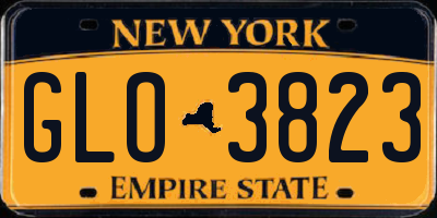 NY license plate GLO3823