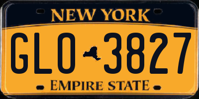 NY license plate GLO3827