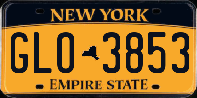 NY license plate GLO3853