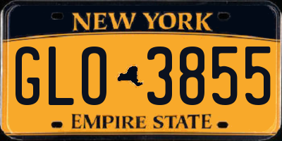 NY license plate GLO3855