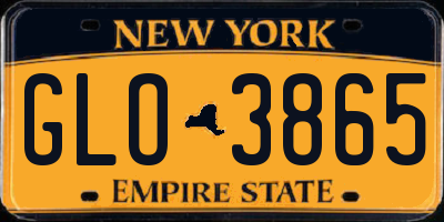 NY license plate GLO3865