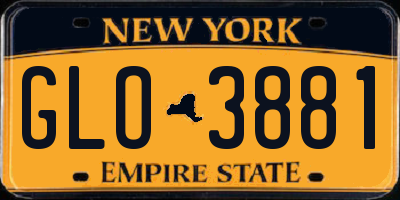NY license plate GLO3881