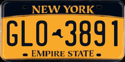 NY license plate GLO3891