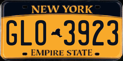 NY license plate GLO3923