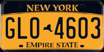 NY license plate GLO4603