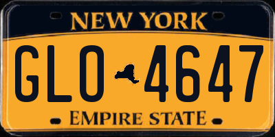 NY license plate GLO4647