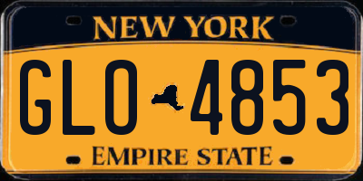 NY license plate GLO4853
