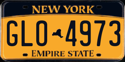 NY license plate GLO4973
