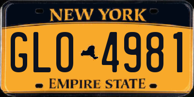 NY license plate GLO4981