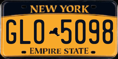 NY license plate GLO5098