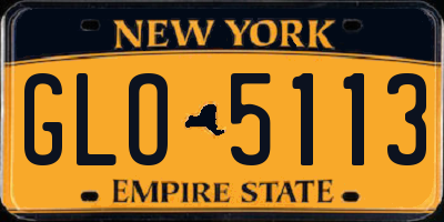NY license plate GLO5113