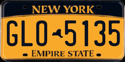 NY license plate GLO5135