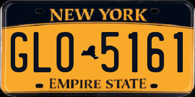 NY license plate GLO5161