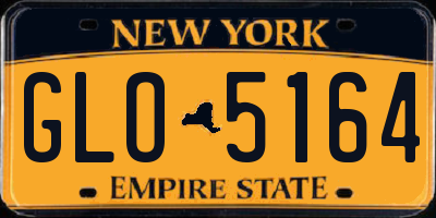 NY license plate GLO5164