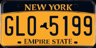 NY license plate GLO5199