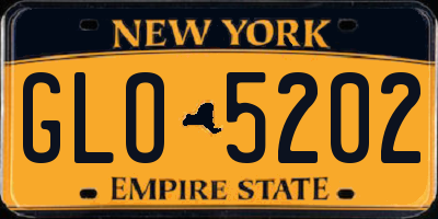 NY license plate GLO5202