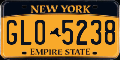 NY license plate GLO5238