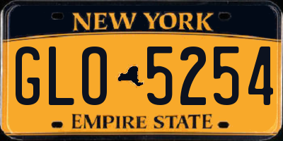 NY license plate GLO5254