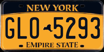 NY license plate GLO5293