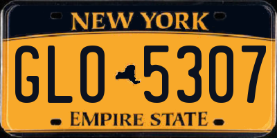 NY license plate GLO5307