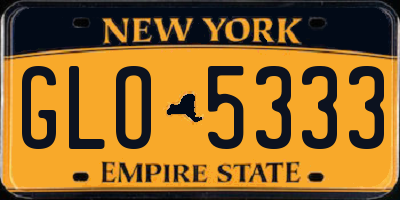 NY license plate GLO5333