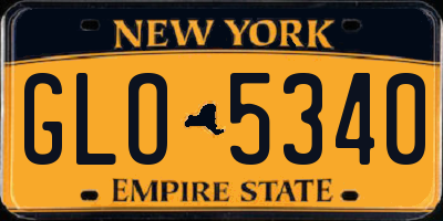 NY license plate GLO5340