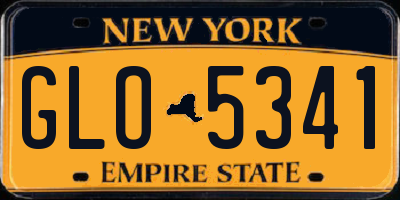 NY license plate GLO5341