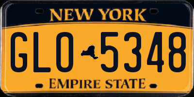 NY license plate GLO5348