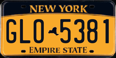 NY license plate GLO5381